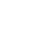 logo dickies blanc